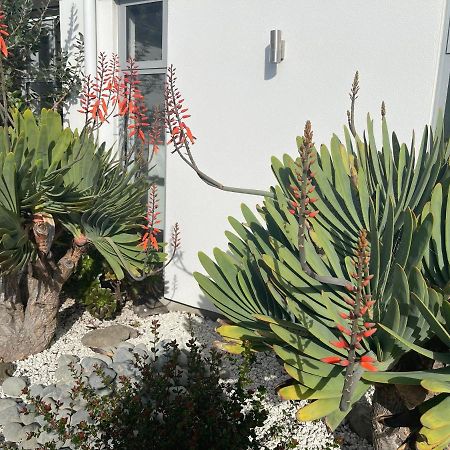 Stunning Park Side Holiday Home Κράισττσερτς Εξωτερικό φωτογραφία