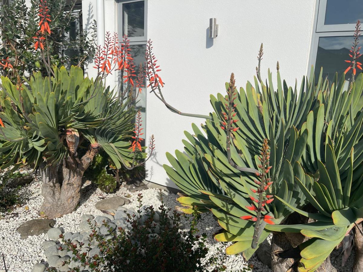 Stunning Park Side Holiday Home Κράισττσερτς Εξωτερικό φωτογραφία