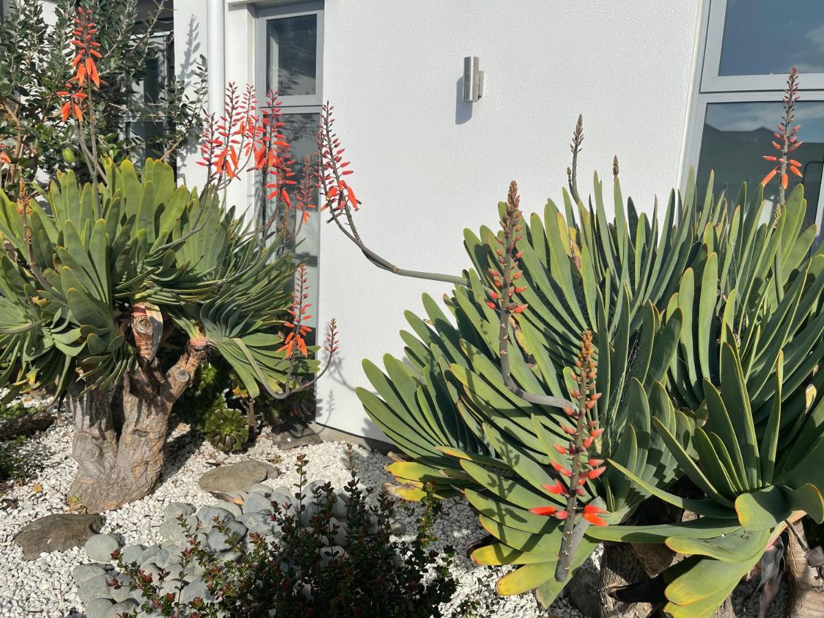 Stunning Park Side Holiday Home Κράισττσερτς Εξωτερικό φωτογραφία